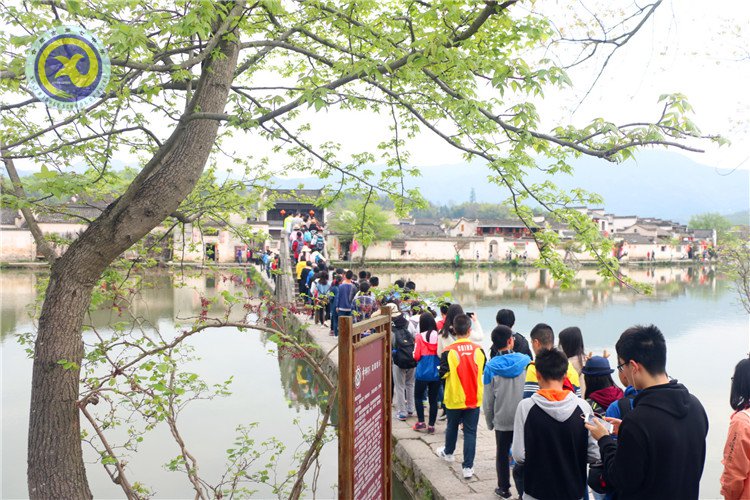 最是一年春好处,少年寻梦到徽州(图5)
