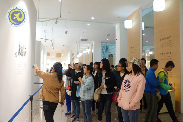 最是一年春好处,少年寻梦到徽州(图3)