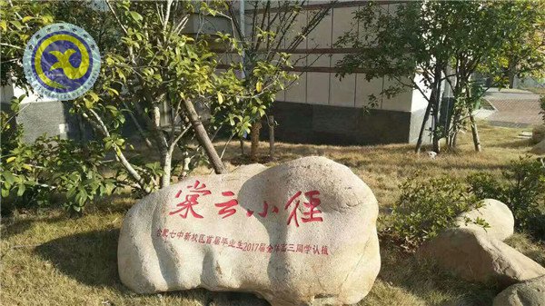 植一片海棠 留年年花香(图6)