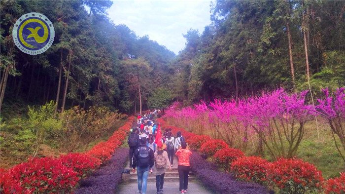 步入春和景明 携手皖南同行(图2)