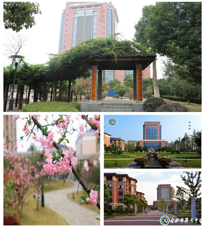 人文七中,书香校园(图4)