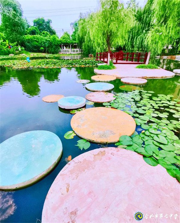 再见,合肥七中(图1)