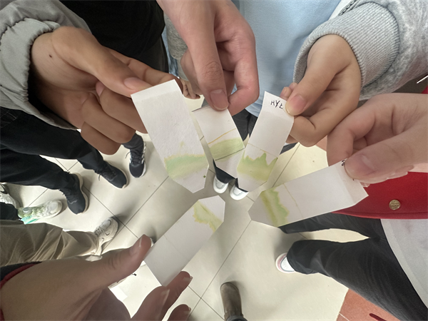 色素提取分离展示2.png 色素提取分离展示2.png